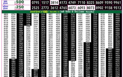 Everest Lottery Result Today Rajshree 50 Guru Weekly Lottery 7:30pm Result 06 August 2026