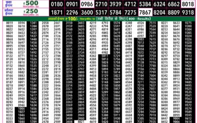 Everest Lottery Result Today Rajshree 50 Shukra Weekly Lottery 7:30pm Result 07 August 2026