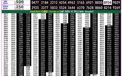 Everest Lottery Result Today Rajshree 50 Shani Weekly Lottery 7:30pm Result 08 August 2026