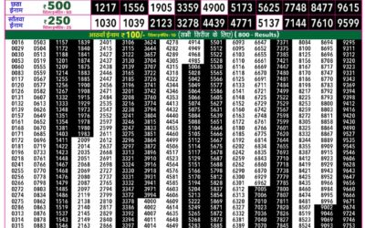Everest Lottery Result Today Rajshree 50 Ravi Weekly Lottery 7:30pm Result 09 August 2026