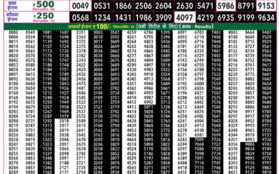 Everest Lottery Result Today Rajshree 50 Guru Weekly Lottery 7:30pm Result 13 August 2026