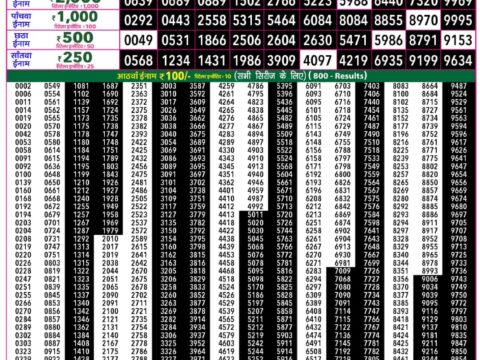 Rajshree 50 Guru Weekly Lottery 7:30pm Result 13 August 2026 Rajshree Lottery Result Today