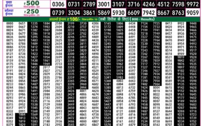 Everest Lottery Result Today Rajshree 50 Mangal Weekly Lottery 7.30pm Result 18 August 2026