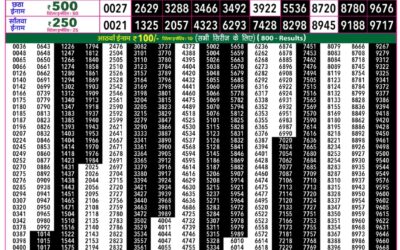 Everest Lottery Result Today Rajshree 50 Mangal Weekly Lottery 7.30pm Result 25 August 2026