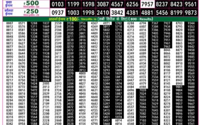 Everest Lottery Result Today Rajshree 50 Shukra Weekly Lottery 7:30pm Result 28 August 2026