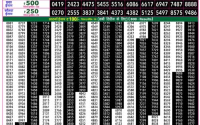 Everest Lottery Result Today Rajshree 50 Shani Weekly Lottery 7:30pm Result 29 August 2026