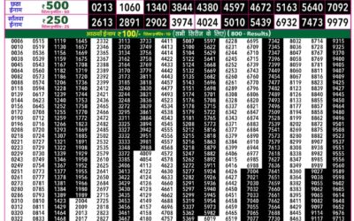 Everest Lottery Result Today Rajshree 50 Ravi Weekly Lottery 7:30pm Result 30 August 2026