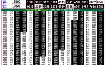 Everest Lottery Result Today Rajshree 50 Som Weekly Lottery 7:30pm Result 31 August 2026