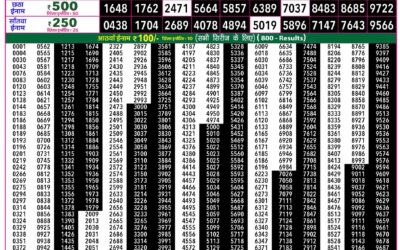 Everest Lottery Result Today Rajshree 50 Ravi Weekly Lottery 7:30pm Result 16 August 2026