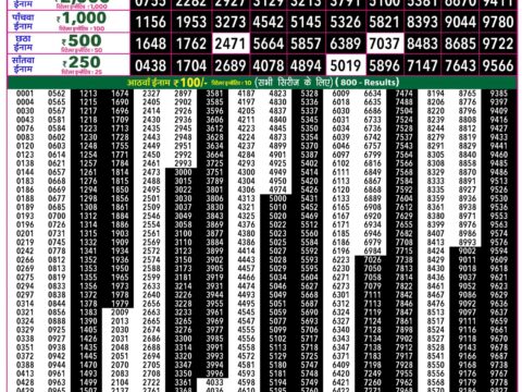 Rajshree 50 Ravi Weekly Lottery 7:30pm Result 16 August 2026 Rajshree Lottery Result Today