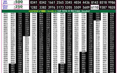 Everest Lottery Result Today Rajshree 50 Ravi Weekly Lottery 7:30pm Result 23 August 2026