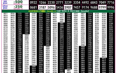 Everest Lottery Result Today Rajshree 50 Ravi Weekly Lottery 7:30pm Result 06 September 2026