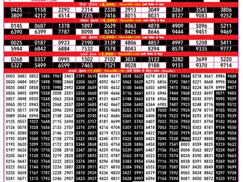 Rajshree Lottery Result Today