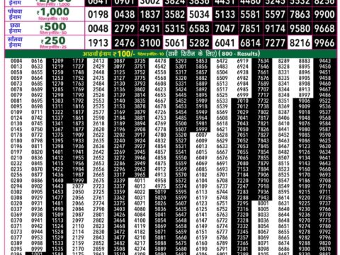 Rajshree 50 Mangal Weekly Lottery 7.30pm Result 01 September 2026 Rajshree Lottery Result Today