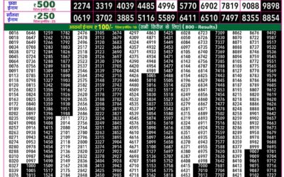 Everest Lottery Result Today Rajshree 50 Guru Weekly Lottery 7:30pm Result 03 September 2026