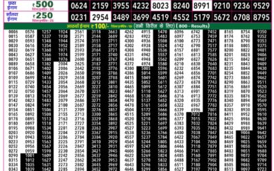 Everest Lottery Result Today Rajshree 50 Shukra Weekly Lottery 7:30pm Result 04 September 2026