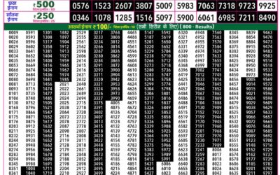 Everest Lottery Result Today Rajshree 50 Som Weekly Lottery 7:30pm Result 07 September 2026