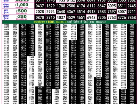 Rajshree 50 Ravi Weekly Lottery 7:30pm Result 13 September 2026 Rajshree Lottery Result Today