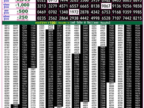 Rajshree 50 Som Weekly Lottery 7:30pm Result 14 September 2026 Rajshree Lottery Result Today
