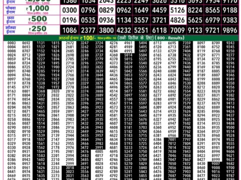 Rajshree 50 Guru Weekly Lottery 7:30pm Result 17 September 2026 Rajshree Lottery Result Today
