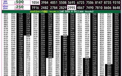 Rajshree 50 Ravi Weekly Lottery 7:30pm Result 20 September 2026