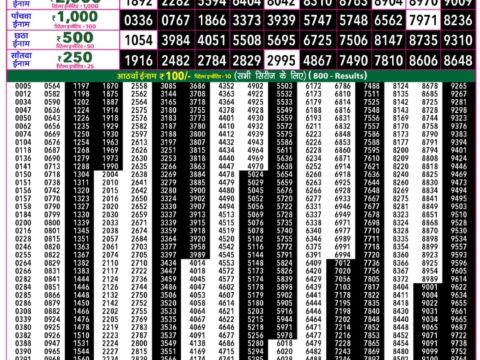 Rajshree 50 Ravi Weekly Lottery 7:30pm Result 20 September 2026 Rajshree Lottery Result Today