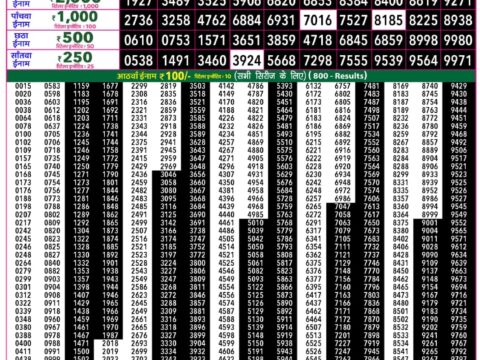 Rajshree Lottery Result Today