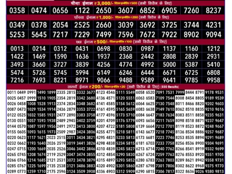Rajshree Lottery Result Today