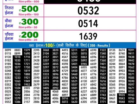 Rajshree Night Shani Weekly Lottery 9pm Result 24 October 2026 Rajshree Lottery Result Today