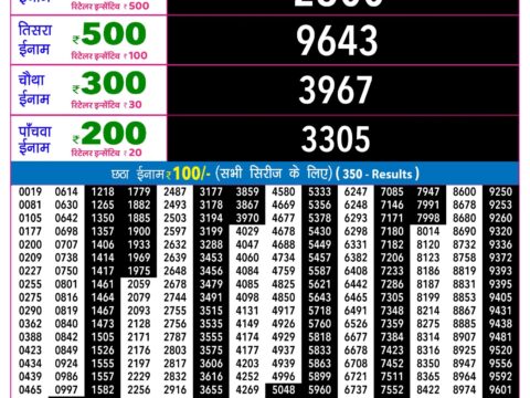 Rajshree Night Shani Weekly Lottery 9pm Result 17 October 2026 Rajshree Lottery Result Today