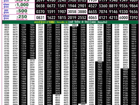 Rajshree 50 Ravi Weekly Lottery 7:30pm Result 11 October 2026 Rajshree Lottery Result Today