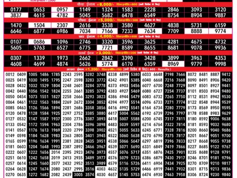 Rajshree 500 Monthly Lottery Result 13 October 2026 Rajshree Lottery Result Today