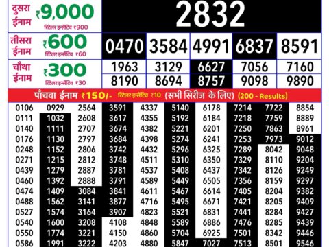 Rajshree Saturday Weekly Lottery 8pm Result 17 October 2026 Rajshree Lottery Result Today